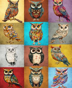 Birds Of A Feather