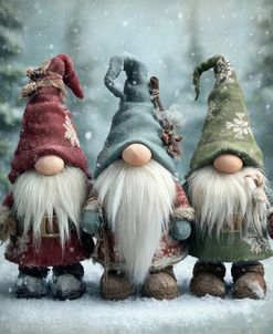 Christmas Gnome-3