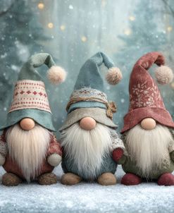 Christmas Gnome-5