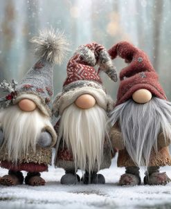 Christmas Gnome-6