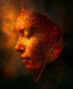 Whispers Of Autumn Copy