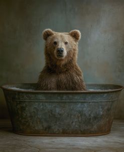 Fuzzy Wuzzy In A Tub