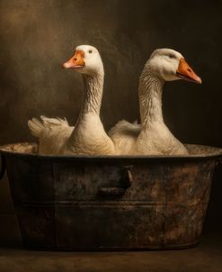 Goose, Goose