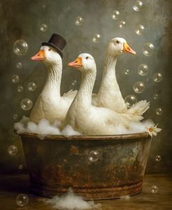 Rub A Dub Dub