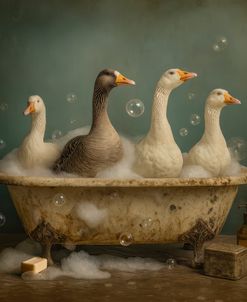 Spa Day