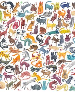 Lots of Cats