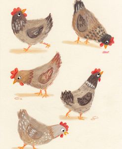 Brown Chickens