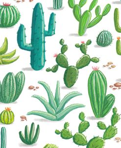 Cacti