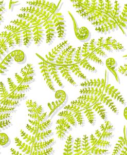 Ferns