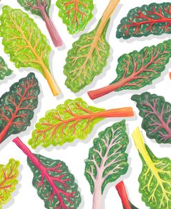Swiss Chard