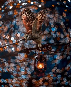 The Messenger