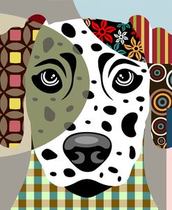 Dalmatian Dog