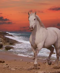 Fantasy Horses 10