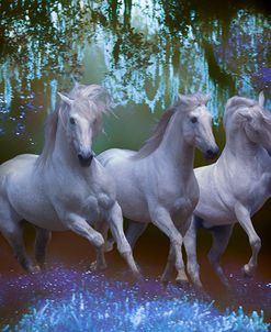 Fantasy Horses 05