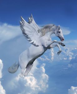 Fantasy Horses 20