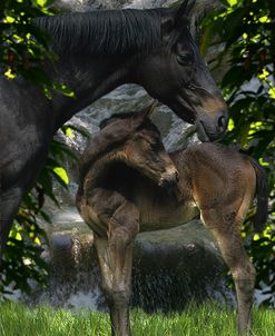 Fantasy Horses 29.tif