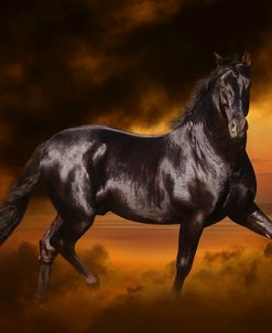 Fantasy Horses 33