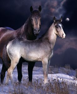 Fantasy Horses 27
