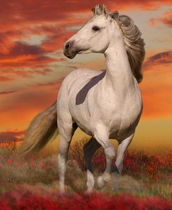 Fantasy Horses 38