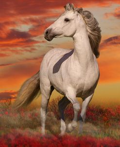 Fantasy Horses 38