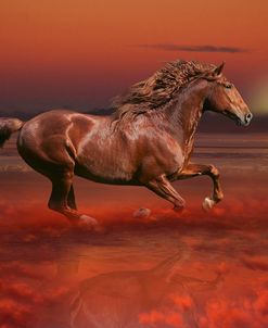 Fantasy Horses 43