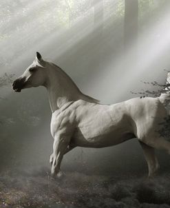 Fantasy Horses 35