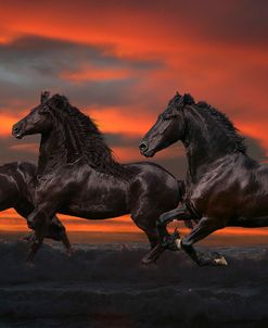 Fantasy Horses 37