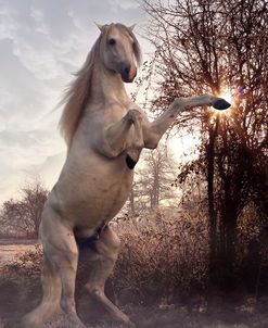 Fantasy Horses 44