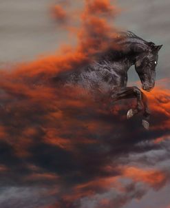 Fantasy Horses