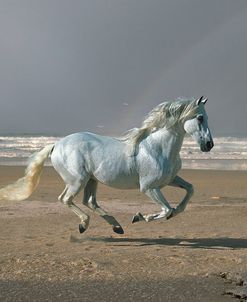 Dream Horses 003