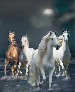 Dream Horses 020