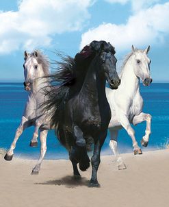 Dream Horses 021