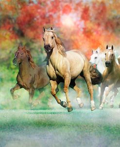 Dream Horses 022