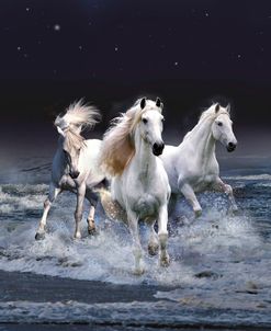 Dream Horses 029