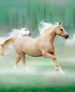 Dream Horses 030