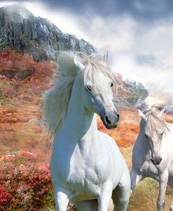Dream Horses 031