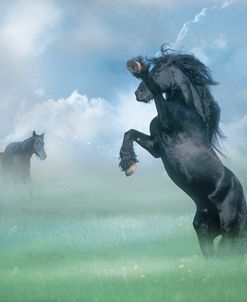 Dream Horses 025