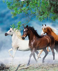 Dream Horses 034