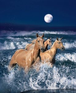 Dream Horses 036