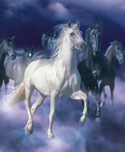 Dream Horses 048