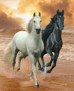 Dream Horses 046