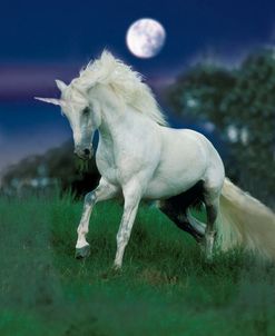 Dream Horses 047