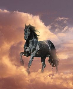 Dream Horses 058