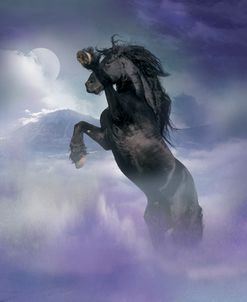 Dream Horses 056