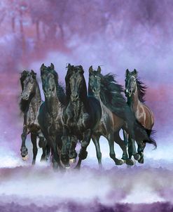 Dream Horses 057