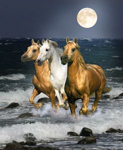 Dream Horses 068