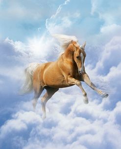 Dream Horses 069