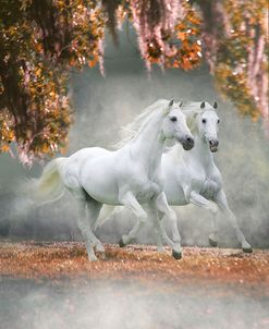 Dream Horses 072