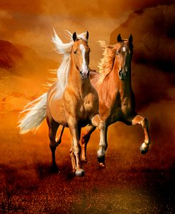 Dream Horses 075