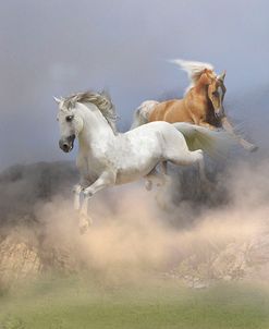 Dream Horses 088